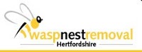 Wasp Nest Removal Hertfordshire 374217 Image 6